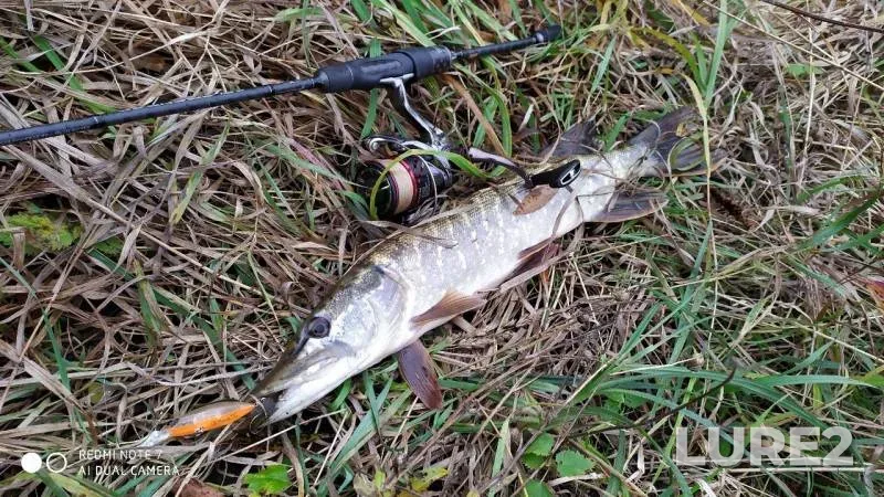 Pike — Shat, Oct 12, 2019