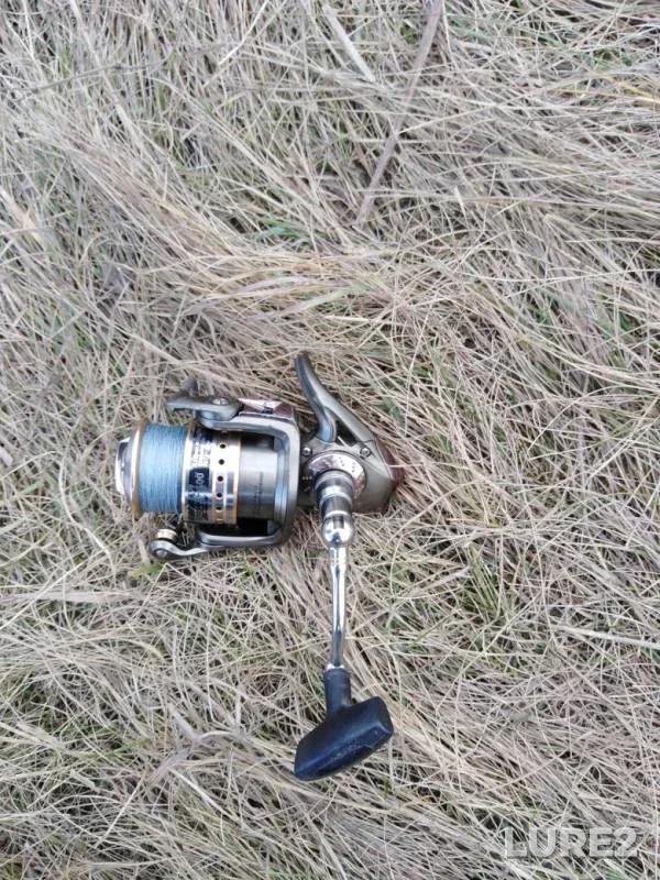 Pike — Markovska, Oct 15, 2019