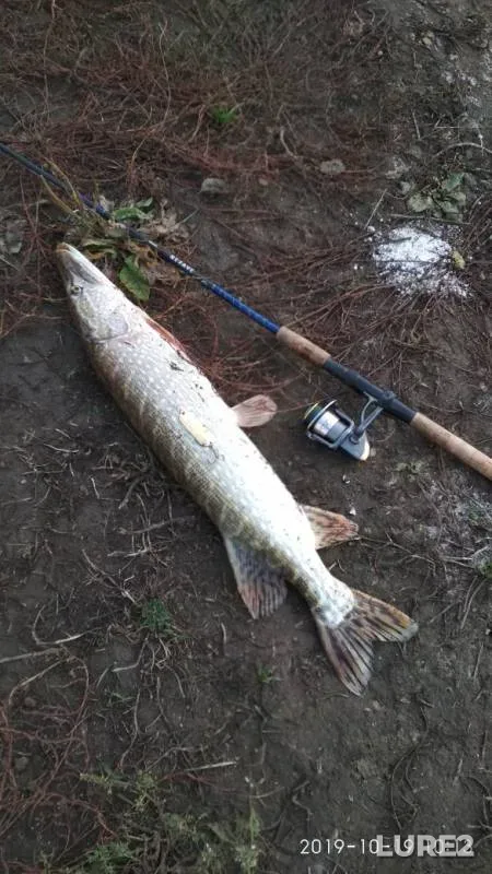 Pike — Upa, Oct 19, 2019