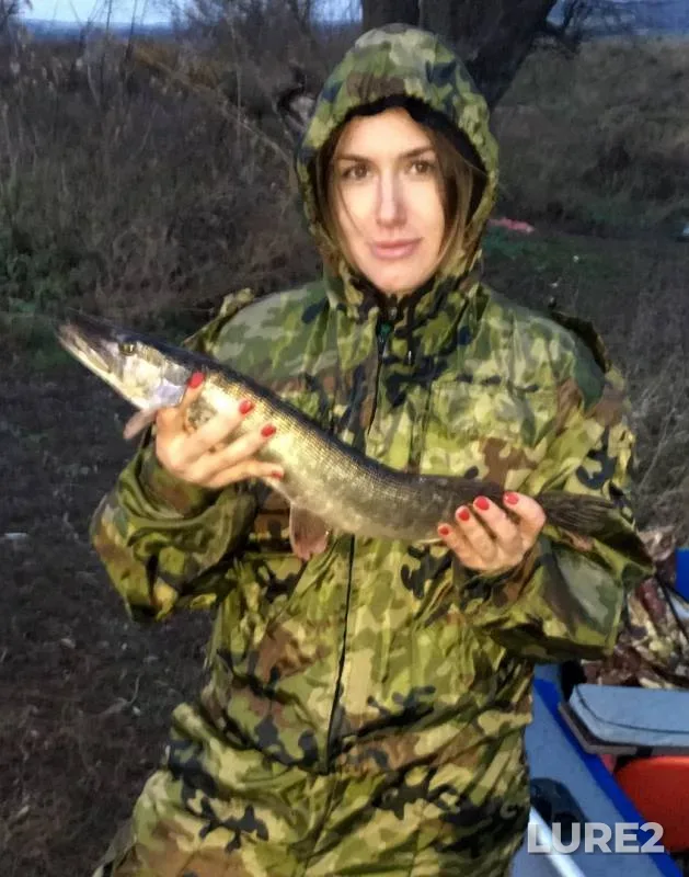 Pike — Upa, Oct 26, 2019