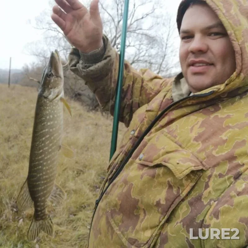 Chub, Pike — Tulskaya oblast, Nov 18, 2019