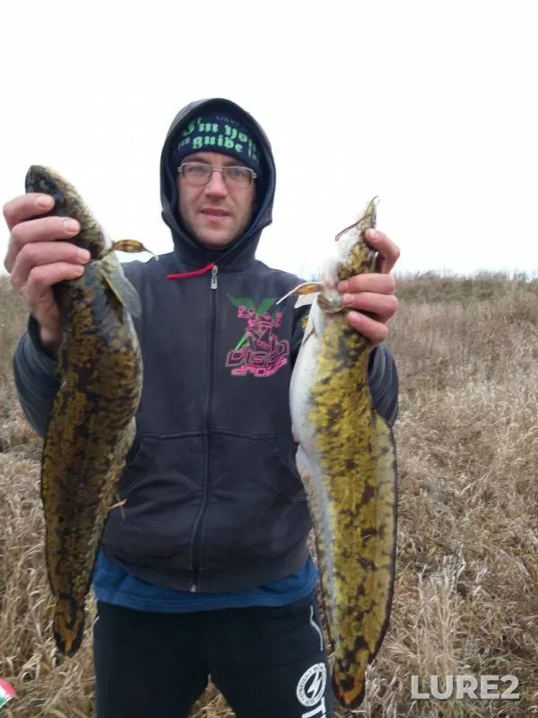 Burbot, Ide — Oka, Nov 20, 2019