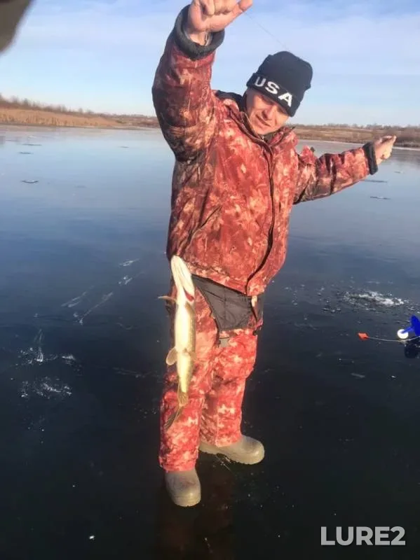 Pike — Tulskaya oblast, Nov 23, 2019