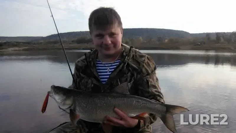 Asp — Babinskiy zaton, Dec 07, 2015