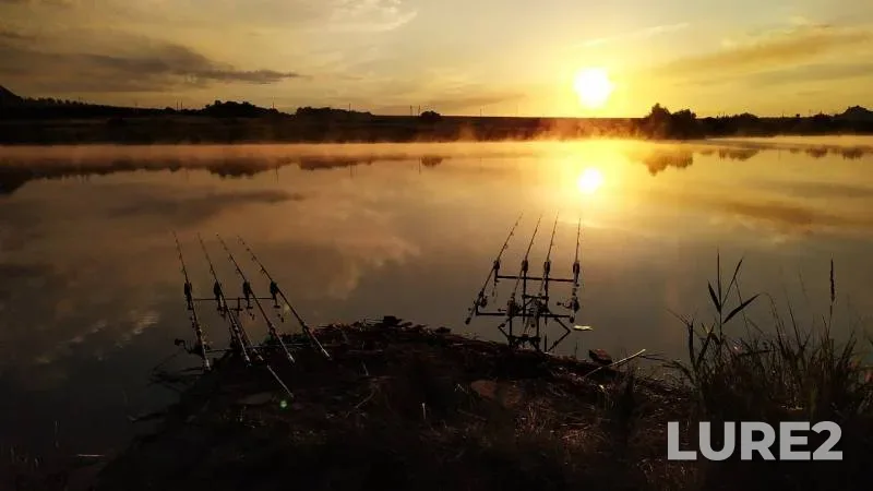 Crucian carp — Donetska oblast, Jul 18, 2019