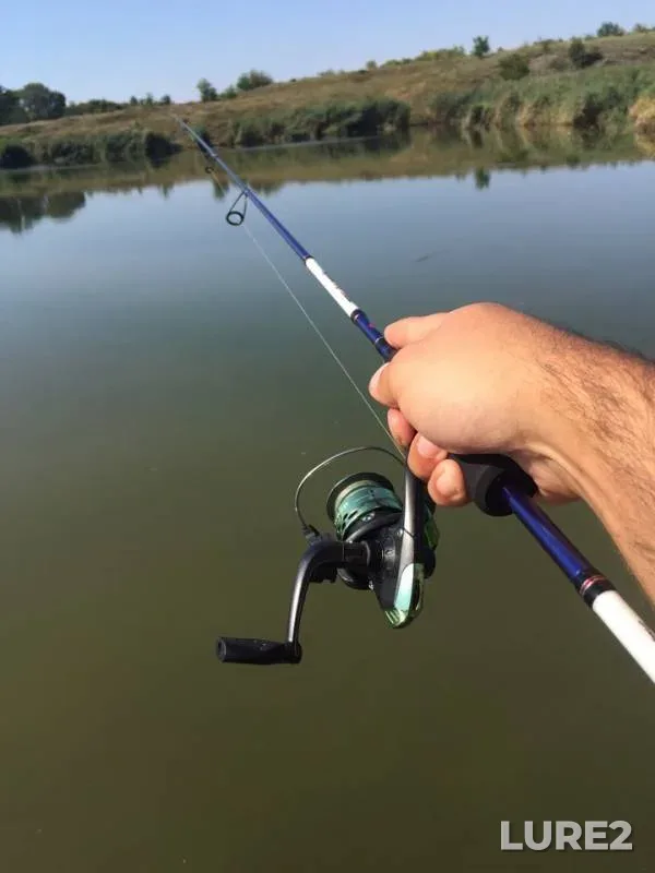 Perch — Nizhnekalmiusskoye, Aug 07, 2019