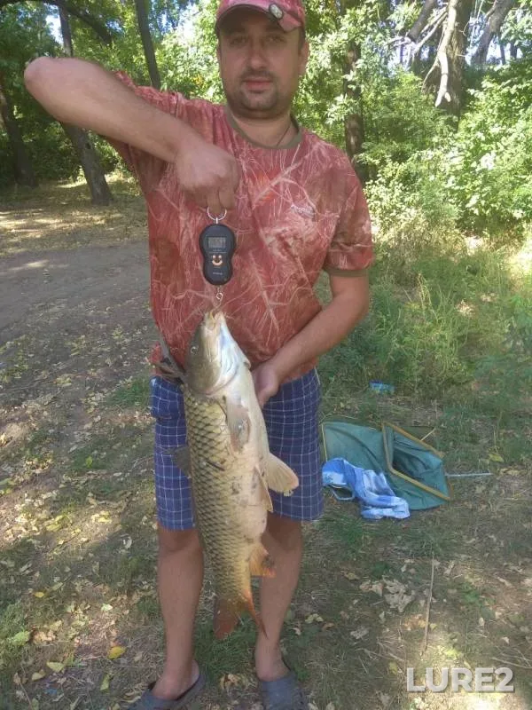 Carp — Khanzhenkovskoye, Sep 11, 2019