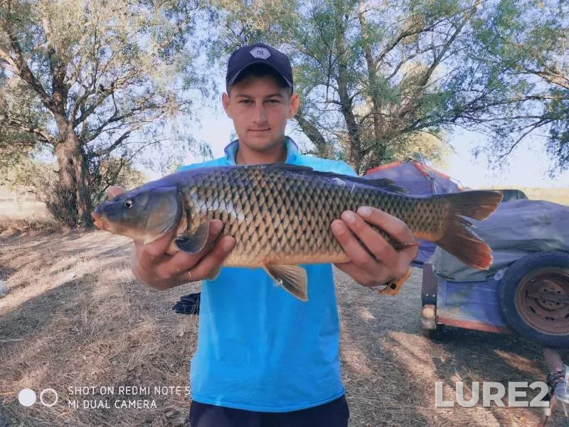 Crucian carp, White bream — Akhtuba, Sep 18, 2019