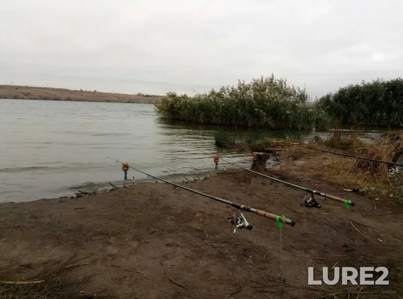 Bream — Starobeshevskoye, Oct 06, 2019
