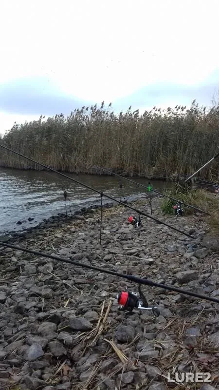 Bream, Crucian carp — Starobeshevskoye, Nov 10, 2019
