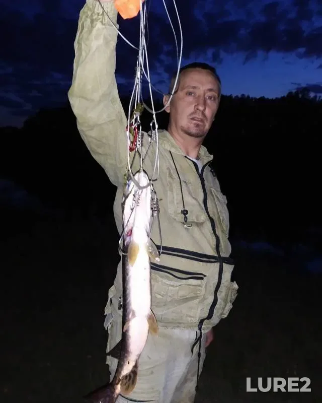Pike — Zhayyқ - Ural, Aug 08, 2019