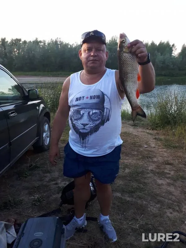 Chub — Orenburgskaya oblast, Jul 13, 2019