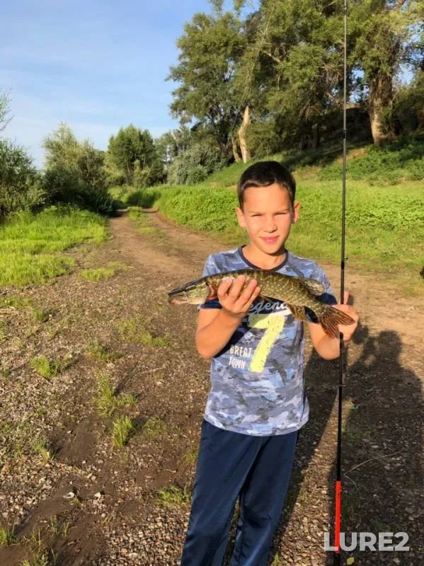 Pike — Sakmara, Jul 12, 2019