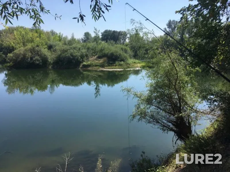 Pike — Ilek, Aug 17, 2019