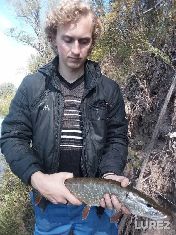 Pike — Orenburgskaya oblast, Sep 08, 2019