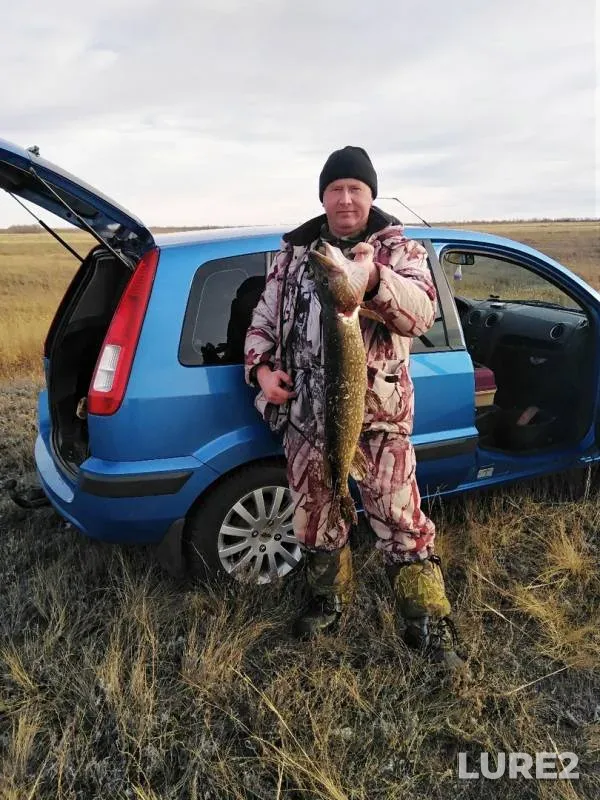 Pike — Orenburgskaya oblast, Nov 29, 2019