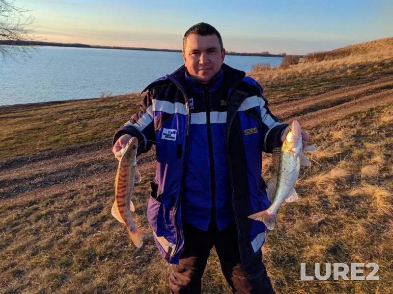 Zander — Chernovskoye, Nov 05, 2019