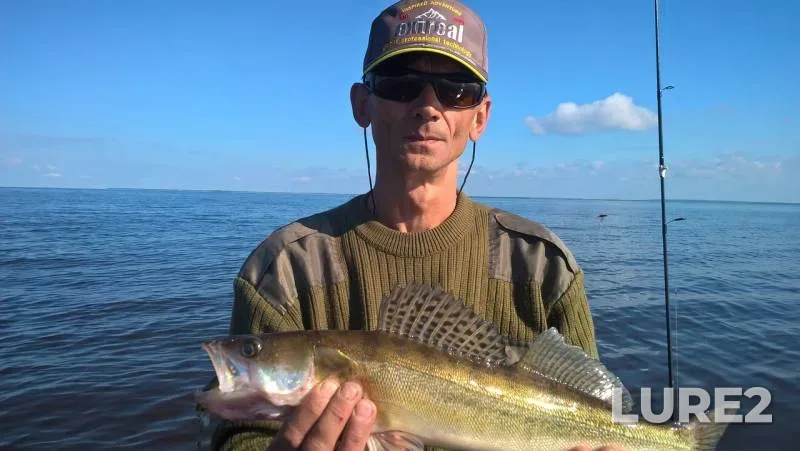 Perch, Pike — Ilmen, Jun 16, 2019