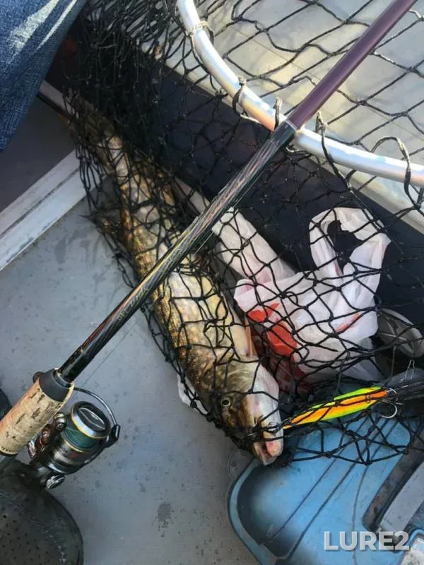 Pike — Volkhov, Jun 23, 2019