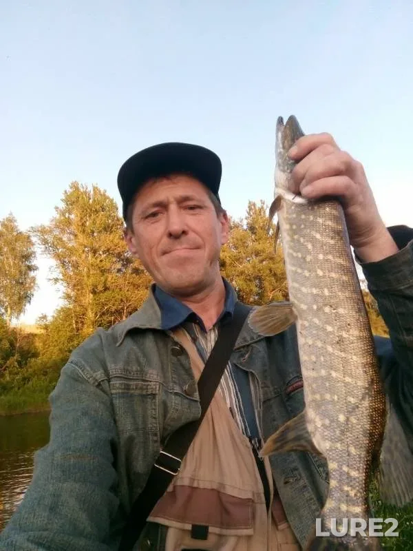 Pike — Msta, Jun 30, 2019