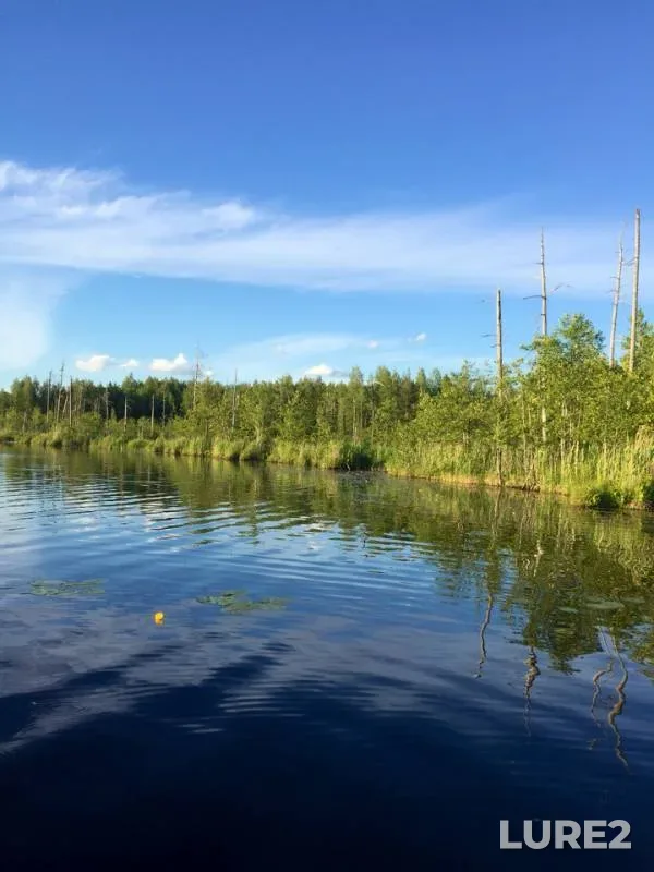 Pike — Veregzha, Jun 25, 2019