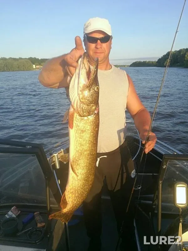Pike — Volkhov, Jun 12, 2019