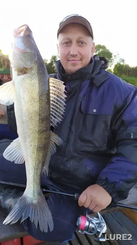 Perch, Pike — Msta, Jul 08, 2019