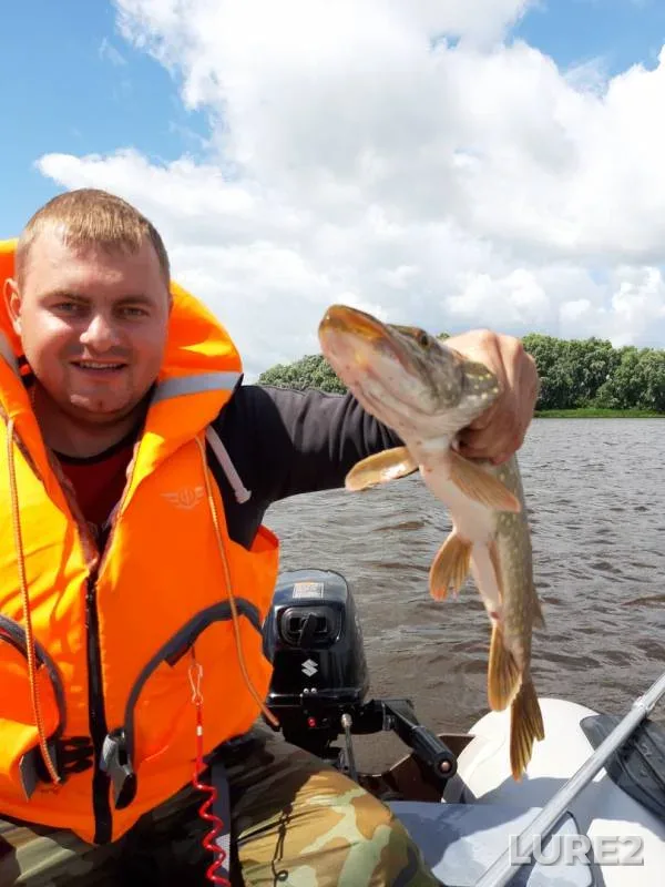 Pike — Lovats, Jul 04, 2019