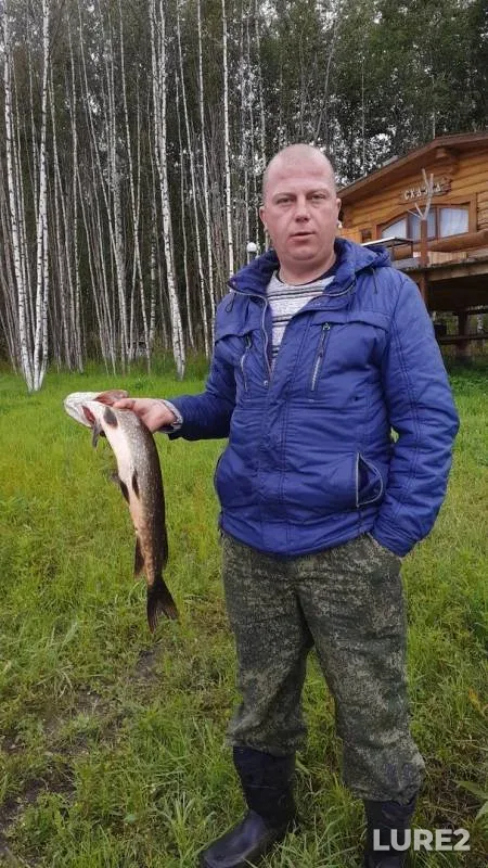 Perch, Pike — Rogozovo, Aug 04, 2019