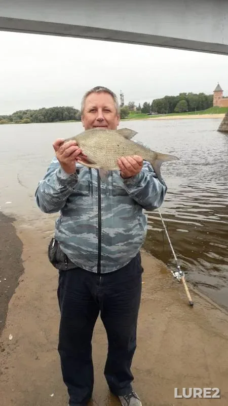 Bream — Volkhov, Sep 04, 2019