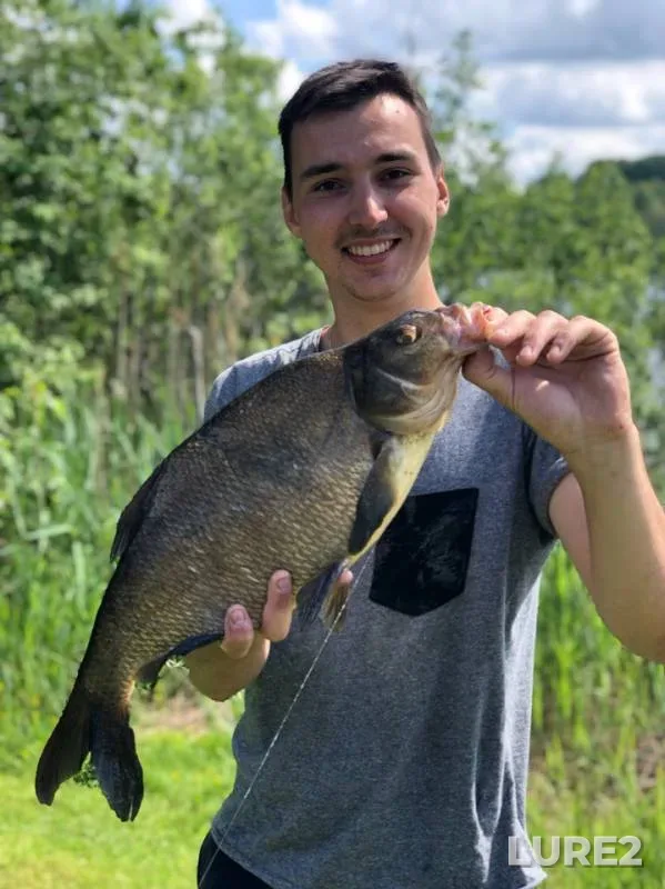 Bream — Dolottso, Sep 12, 2019