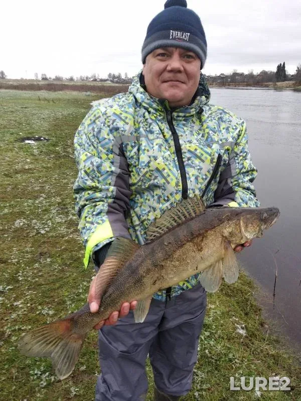 Zander — Msta, Nov 02, 2019