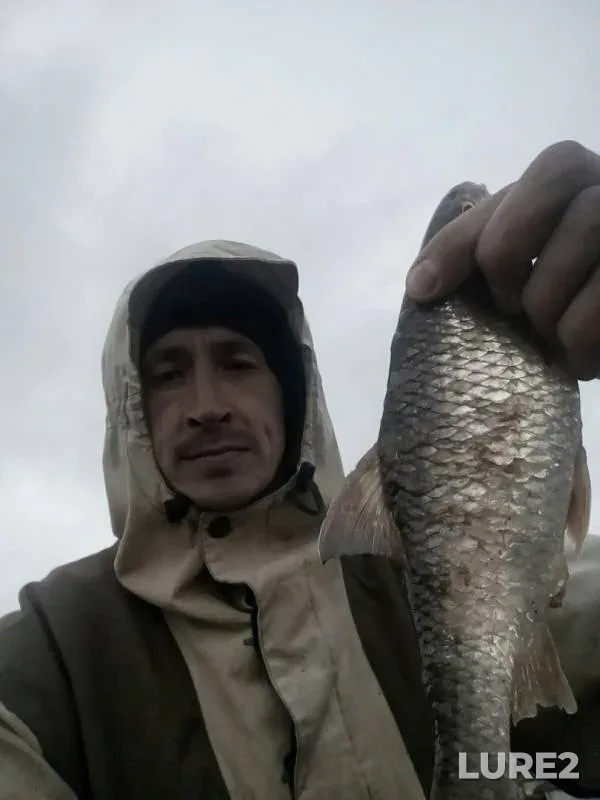 Roach — Povrakulka, May 23, 2019
