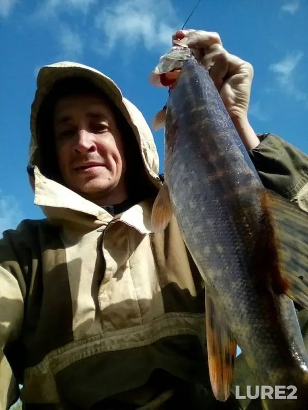 Bream, Pike — Ruchey, Jun 03, 2019