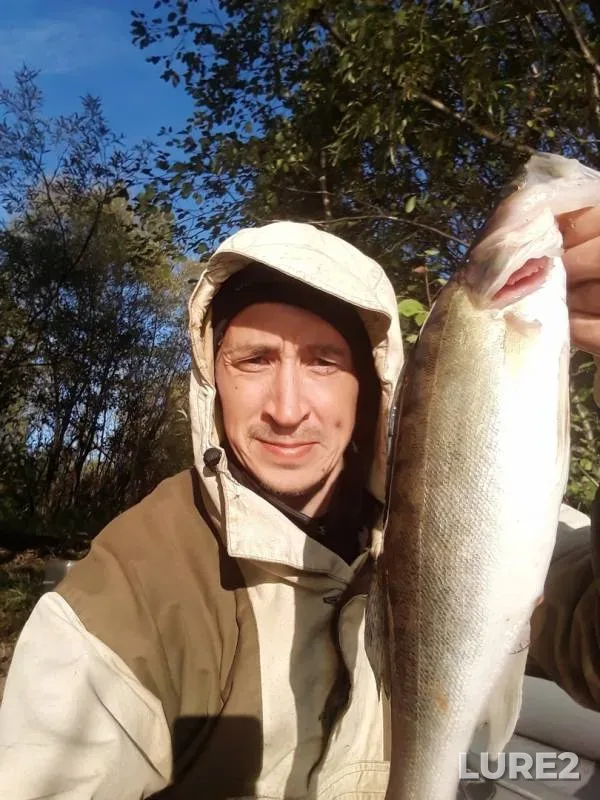 Perch, Pike — Severnaya Dvina, Sep 18, 2019