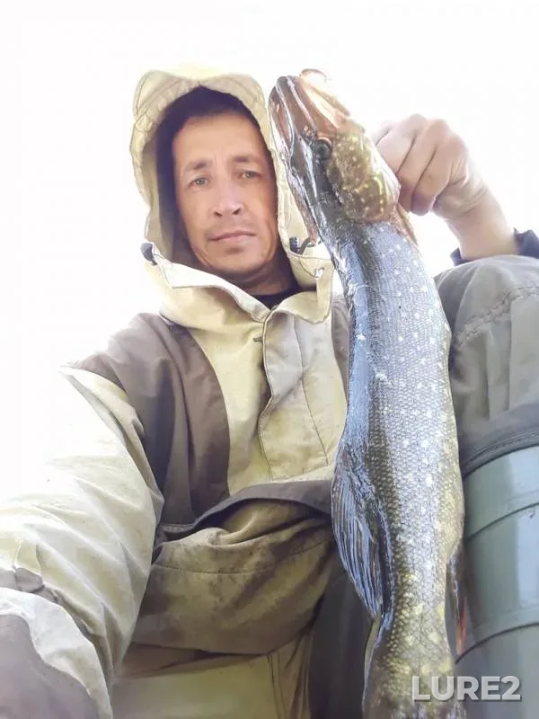 Pike — Khvostyanka, Aug 25, 2019