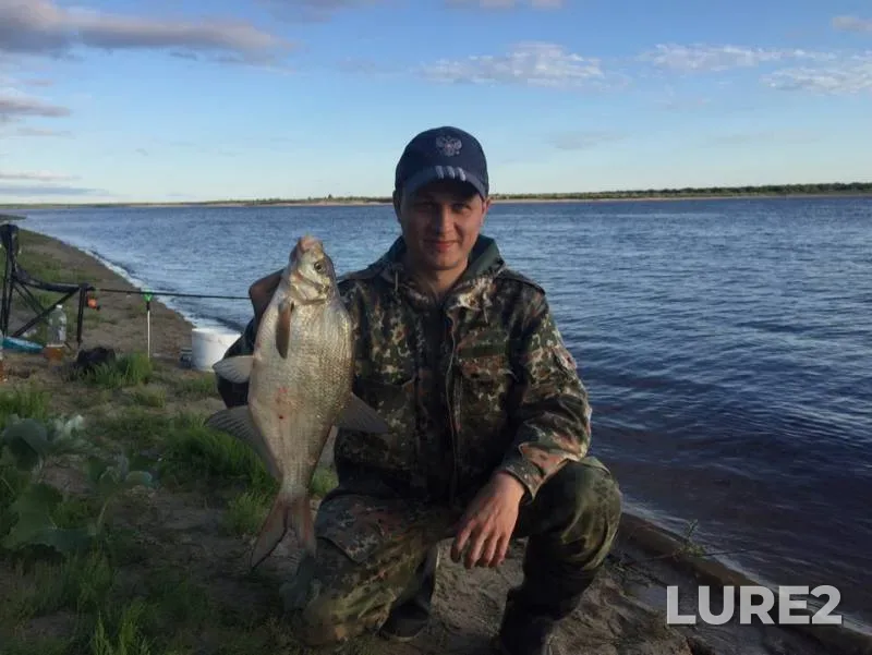 Bream — protoka Martusheva, Jul 29, 2019