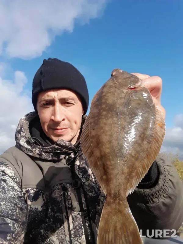 Roach — Severnaya Dvina, Sep 26, 2019