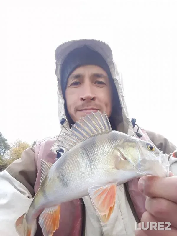 Perch — Khabarka, Sep 29, 2019