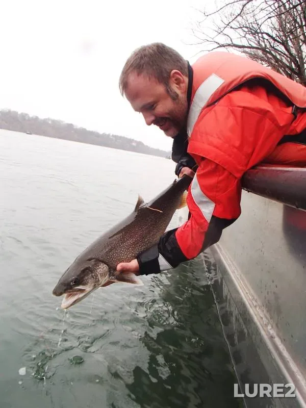 Lake trout — Chippawa Channel, Nov 20, 2017