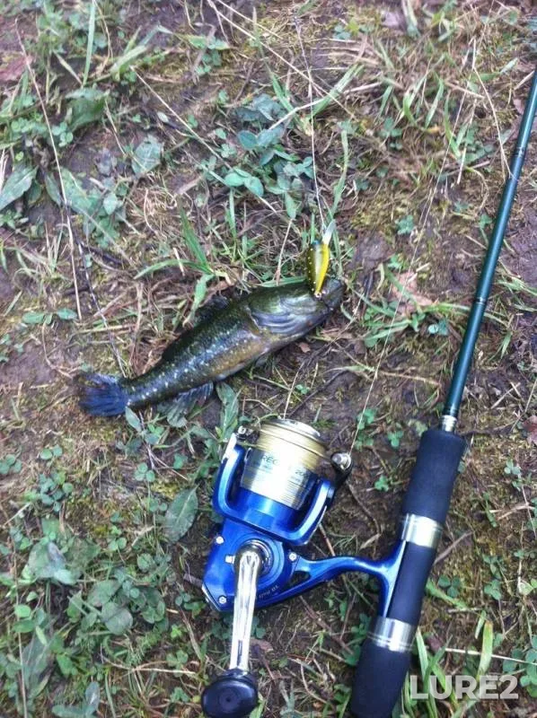 Pike — Ryzhovskiy, Oct 19, 2019