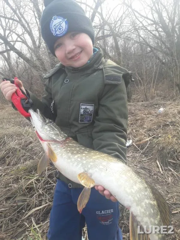 Pike — Baygora, Apr 01, 2019