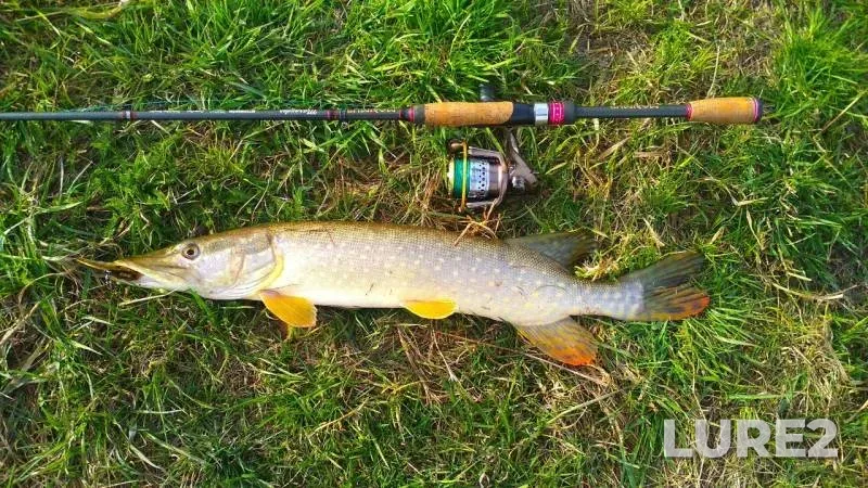 Pike — Voronezh, Apr 18, 2019