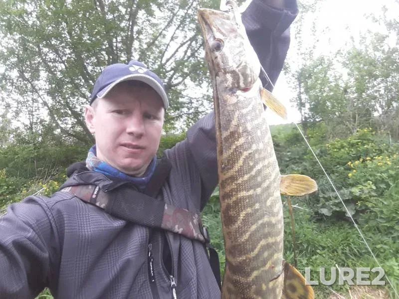 Chub, Perch — Don, May 10, 2019