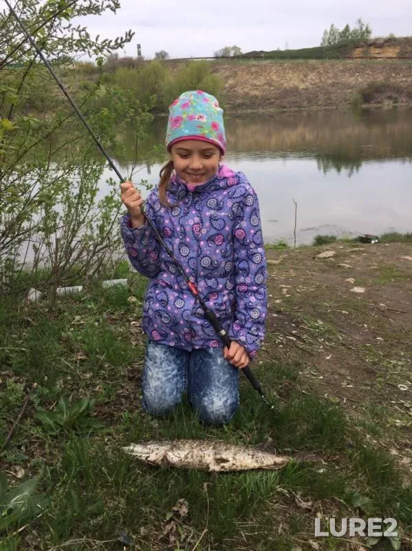 Pike — Lipetskaya oblast, May 05, 2019