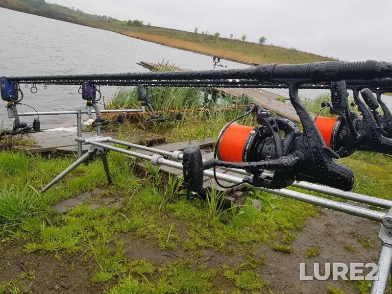 Carp — Lipetskaya oblast, May 04, 2019