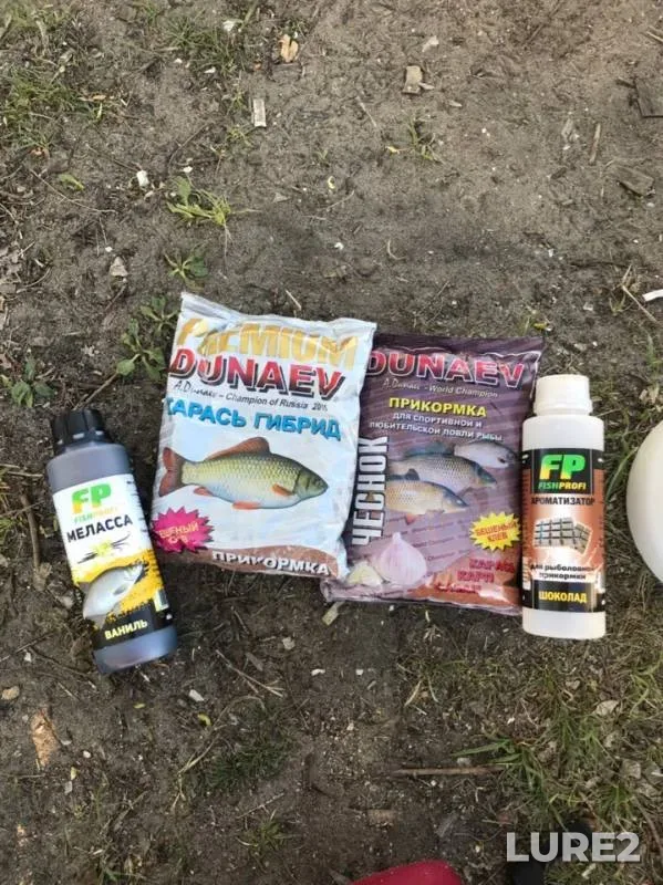Bream, Roach — Matyra, May 01, 2019