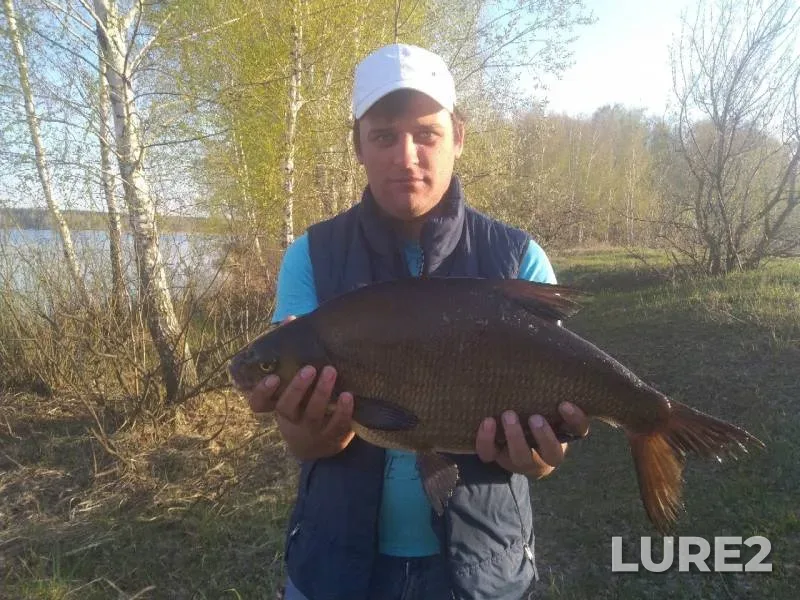 Bream — Matyrskoye, Apr 24, 2019