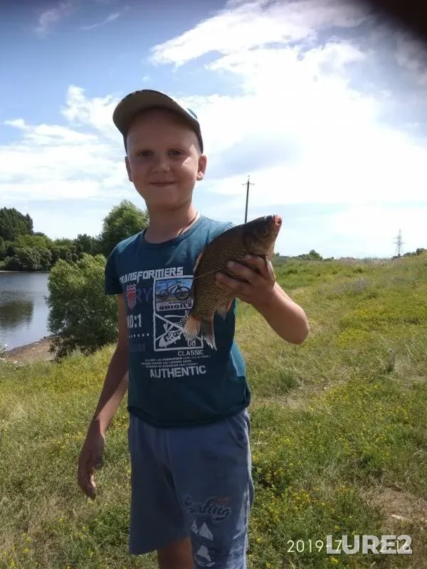 Crucian carp — Olshanets, Jul 01, 2019
