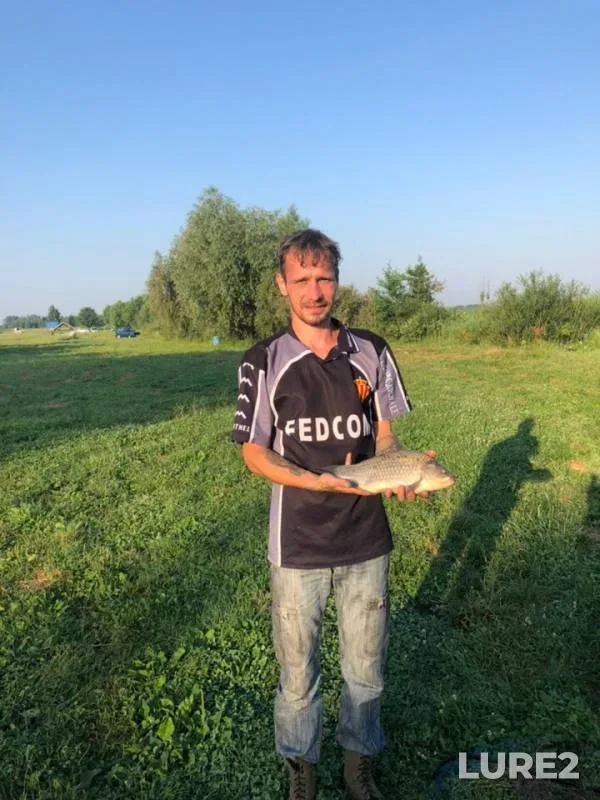 Carp — Nikolaveskiy platnik, Jun 16, 2019